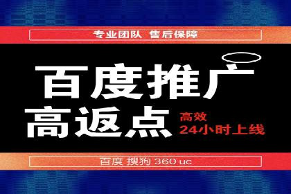 推广竞价案例分析：揭秘高转化率背后的秘密